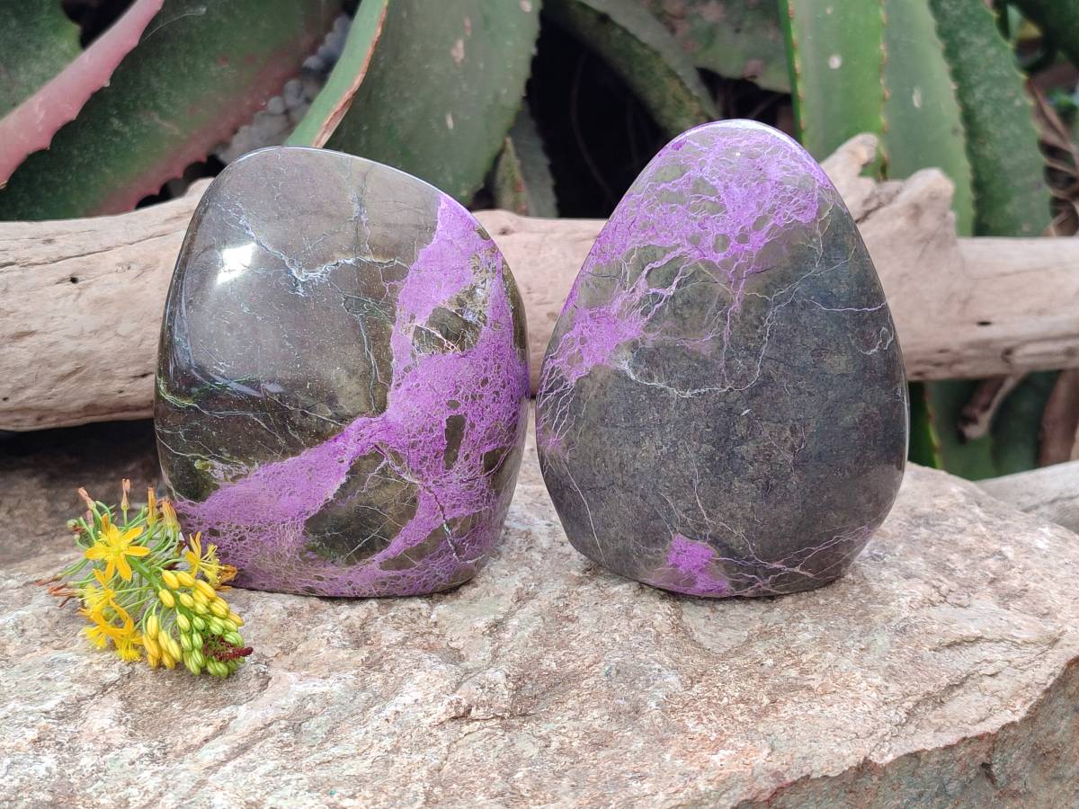 Polished Stichtite Standing Free Forms x 2 From Barberton, South Africa - Toprock Gemstones and Minerals 