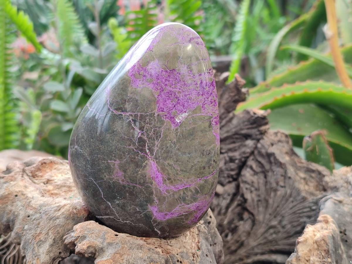 Polished Stichtite Standing Free Forms x 2 From Barberton, South Africa - Toprock Gemstones and Minerals 