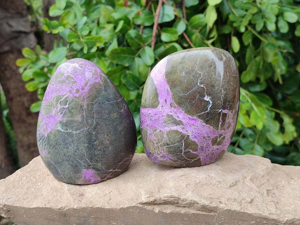 Polished Stichtite Standing Free Forms x 2 From Barberton, South Africa - Toprock Gemstones and Minerals 