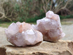 Natural Amethyst Spirit Quartz Clusters x 6 From Boekenhouthoek, South Africa - Toprock Gemstones and Minerals 
