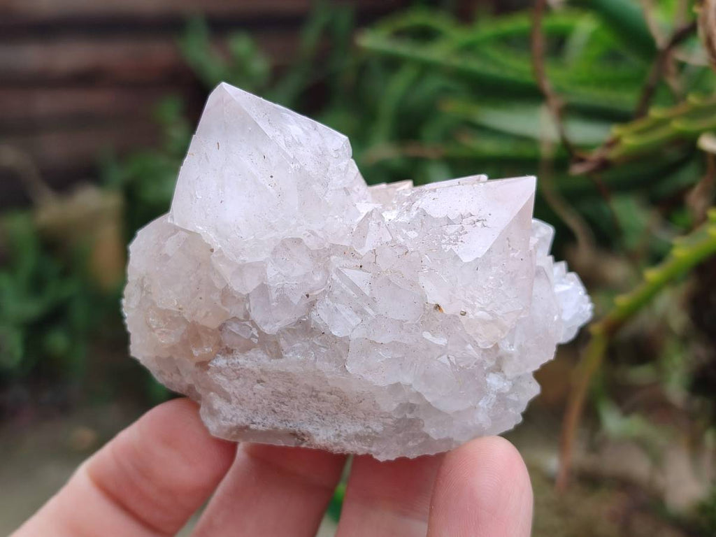 Natural Amethyst Spirit Quartz Clusters x 6 From Boekenhouthoek, South Africa - Toprock Gemstones and Minerals 