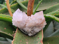 Natural Amethyst Spirit Quartz Clusters x 6 From Boekenhouthoek, South Africa - Toprock Gemstones and Minerals 