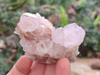 Natural Amethyst Spirit Quartz Clusters x 6 From Boekenhouthoek, South Africa - Toprock Gemstones and Minerals 