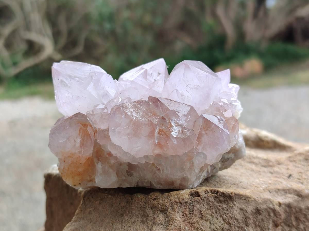 Natural Amethyst Spirit Quartz Clusters x 6 From Boekenhouthoek, South Africa - Toprock Gemstones and Minerals 