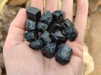 Natural Alluvial Schorl Black Tourmaline Crystals x 1.53 Kg Lot From Zimbabwe