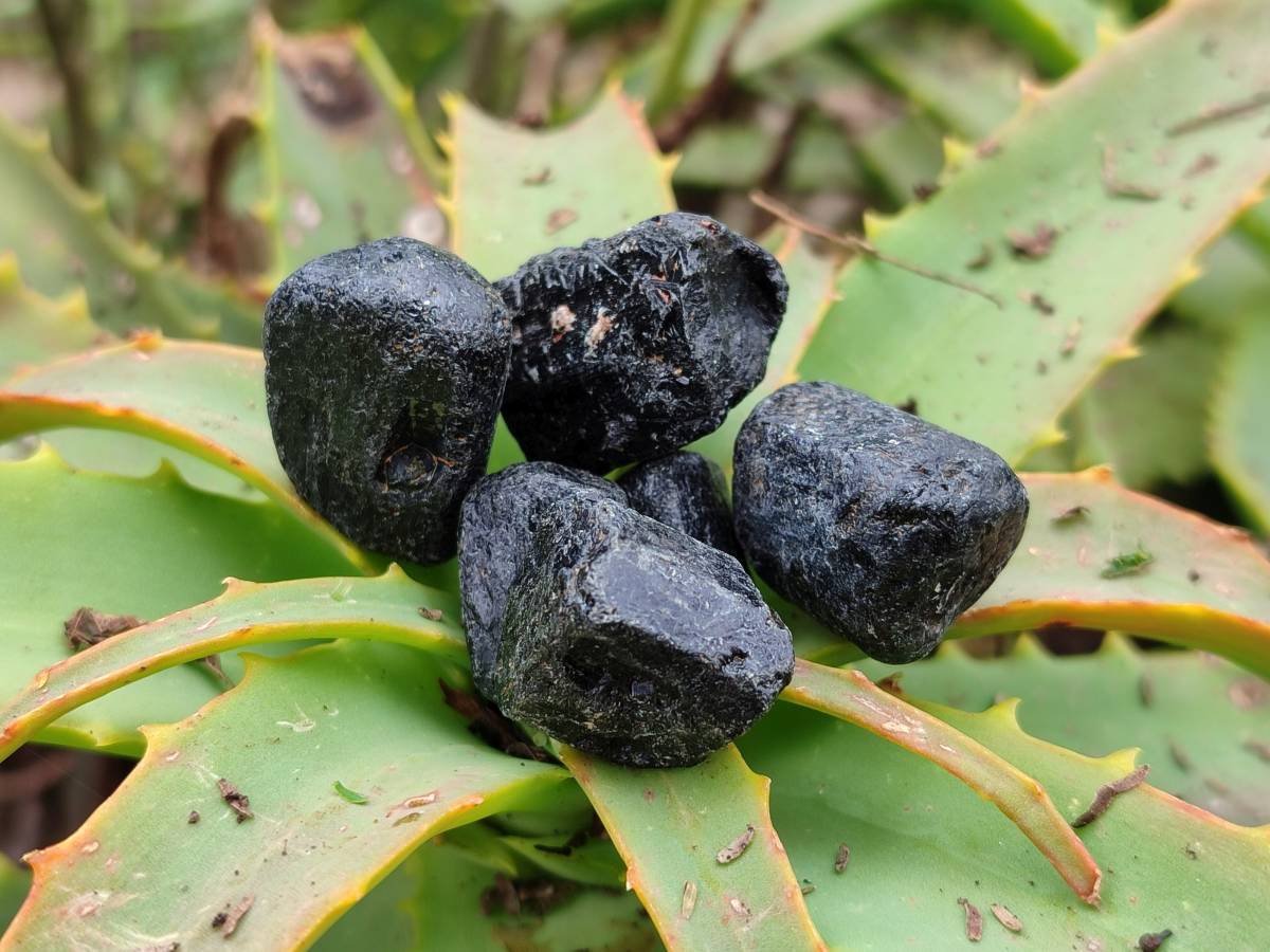 Natural Alluvial Schorl Black Tourmaline Crystals x 1.53 Kg Lot From Zimbabwe - Toprock Gemstones and Minerals 