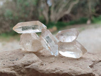 Natural Smokey Quartz Crystals x 1.22 Kg Lot From Madagascar