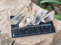 Natural Smokey Quartz Crystals x 1.22 Kg Lot From Madagascar