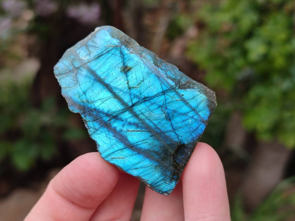Polished Labradorite Standing Free Forms x 3 From Tulear, Madagascar - Toprock Gemstones and Minerals 