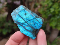 Polished Labradorite Standing Free Forms x 3 From Tulear, Madagascar