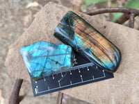 Polished Labradorite Standing Free Forms x 3 From Tulear, Madagascar