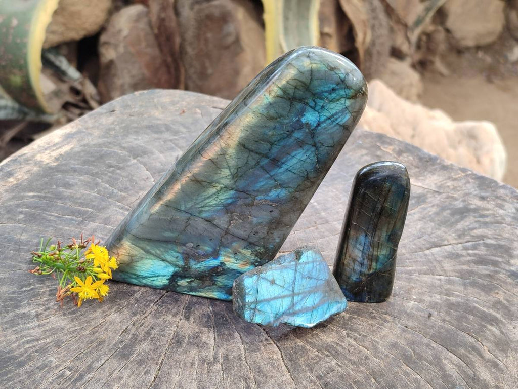 Polished Labradorite Standing Free Forms x 3 From Tulear, Madagascar - Toprock Gemstones and Minerals 