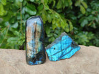 Polished Labradorite Standing Free Forms x 3 From Tulear, Madagascar - Toprock Gemstones and Minerals 