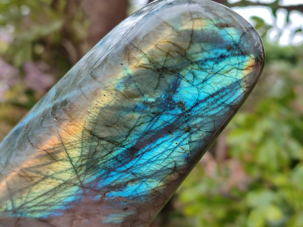 Polished Labradorite Standing Free Forms x 3 From Tulear, Madagascar - Toprock Gemstones and Minerals 
