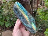 Polished Labradorite Standing Free Forms x 3 From Tulear, Madagascar