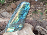 Polished Labradorite Standing Free Forms x 3 From Tulear, Madagascar