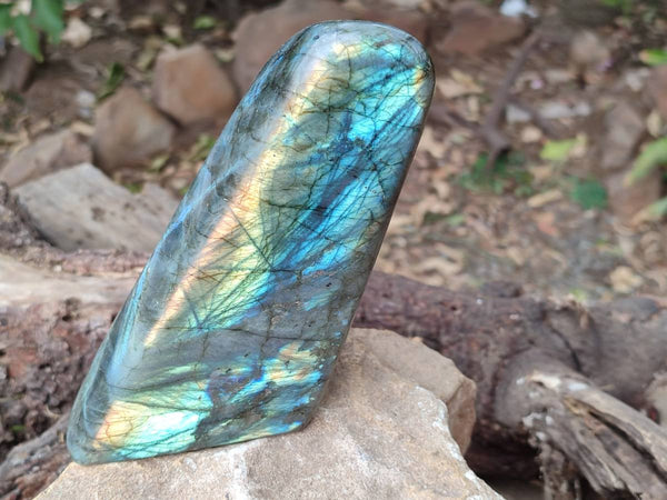 Polished Labradorite Standing Free Forms x 3 From Tulear, Madagascar