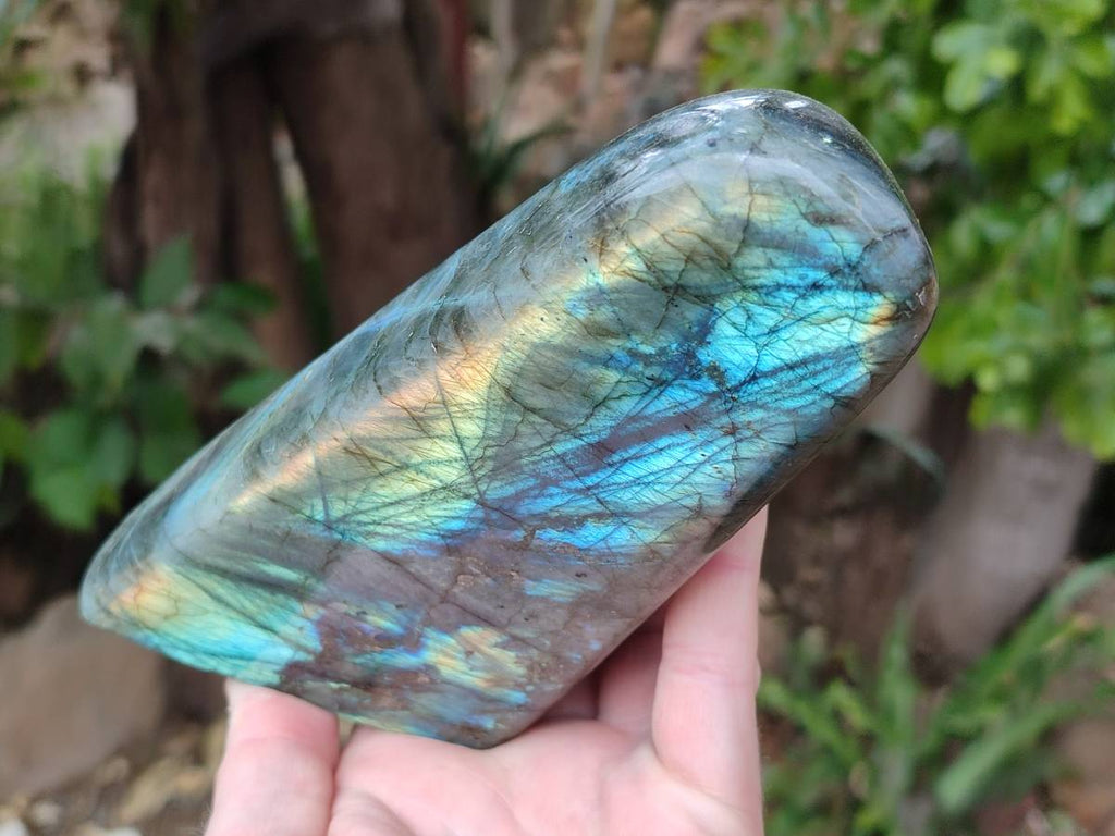 Polished Labradorite Standing Free Forms x 3 From Tulear, Madagascar - Toprock Gemstones and Minerals 