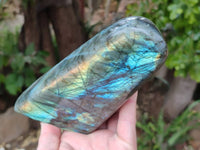 Polished Labradorite Standing Free Forms x 3 From Tulear, Madagascar