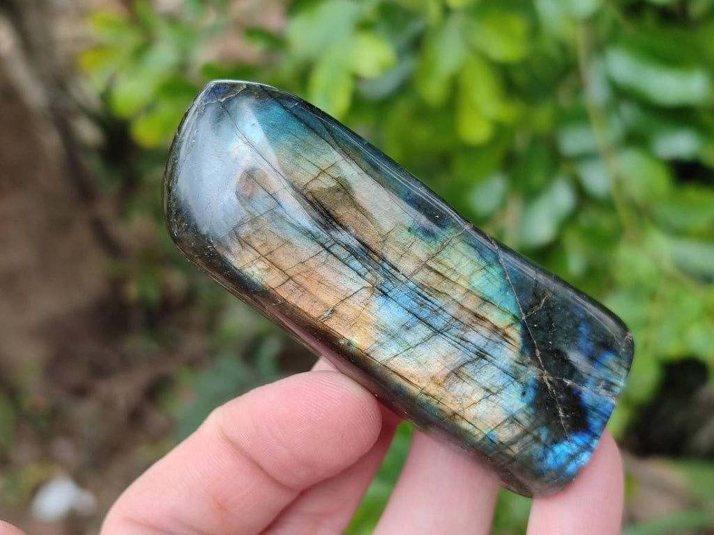 Polished Labradorite Standing Free Forms x 3 From Tulear, Madagascar - Toprock Gemstones and Minerals 