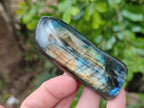 Polished Labradorite Standing Free Forms x 3 From Tulear, Madagascar - Toprock Gemstones and Minerals 