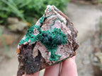 Natural Crystalline Ball Malachite and Drusy Quartz On Dolomite Matrix Specimens x 3 From Kambove, Congo - Toprock Gemstones and Minerals 