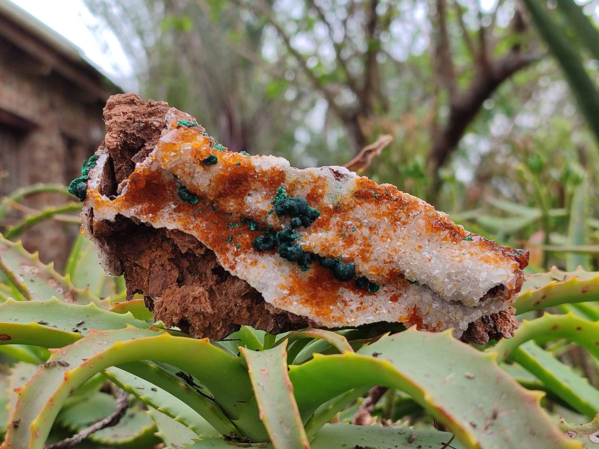Natural Crystalline Ball Malachite and Drusy Quartz On Dolomite Matrix Specimens x 3 From Kambove, Congo - Toprock Gemstones and Minerals 
