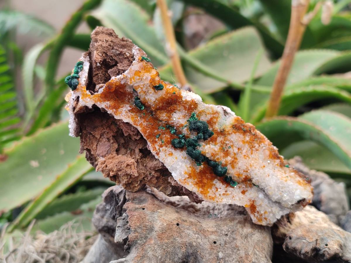 Natural Crystalline Ball Malachite and Drusy Quartz On Dolomite Matrix Specimens x 3 From Kambove, Congo - Toprock Gemstones and Minerals 