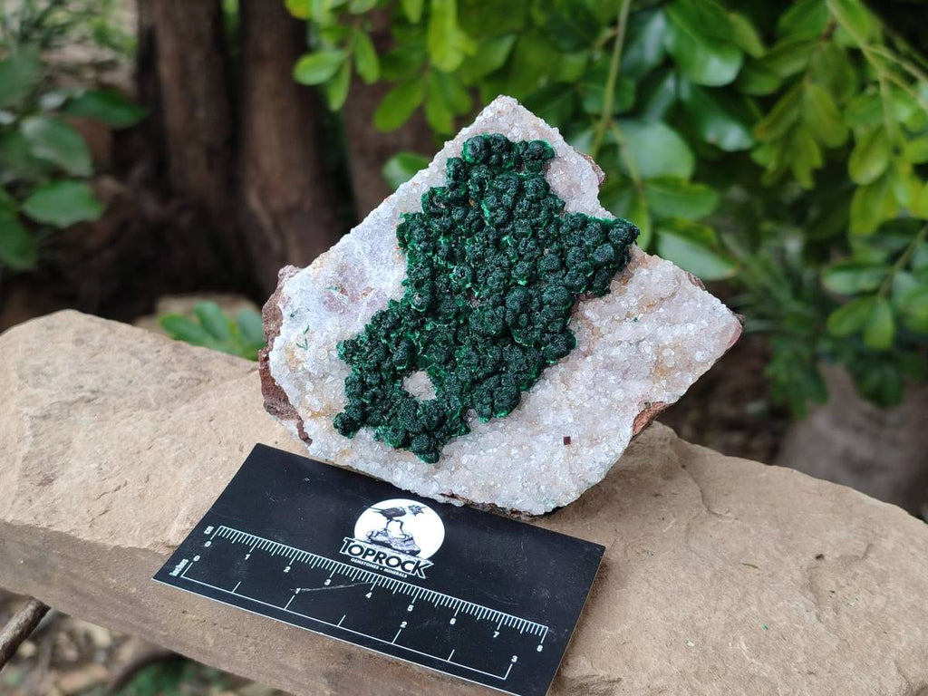 Natural Crystalline Ball Malachite and Drusy Quartz On Dolomite Matrix Specimens x 3 From Kambove, Congo - Toprock Gemstones and Minerals 