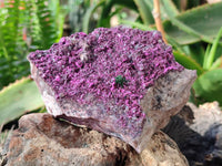 Natural Salrose Cobaltion Dolomite with Malachite Specimen x 1 From Kakanda, Congo