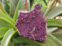 Natural Salrose Cobaltion Dolomite with Malachite Specimen x 1 From Kakanda, Congo