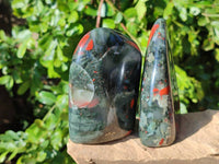 Polished Bloodstone Standing Free Forms x 2 From Swaziland - Toprock Gemstones and Minerals 
