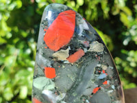 Polished Bloodstone Standing Free Forms x 2 From Swaziland - Toprock Gemstones and Minerals 
