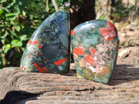 Polished Bloodstone Standing Free Forms x 2 From Swaziland - Toprock Gemstones and Minerals 