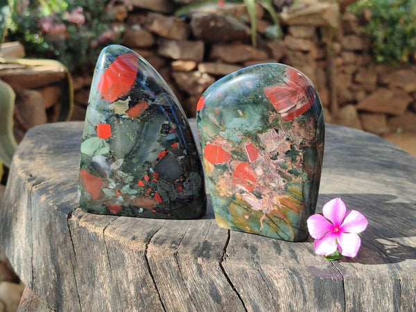 Polished Bloodstone Standing Free Forms x 2 From Swaziland - Toprock Gemstones and Minerals 