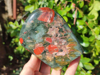 Polished Bloodstone Standing Free Forms x 2 From Swaziland - Toprock Gemstones and Minerals 