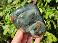 Polished Bloodstone Standing Free Forms x 2 From Swaziland - Toprock Gemstones and Minerals 