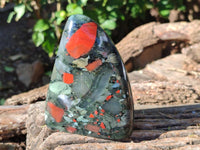 Polished Bloodstone Standing Free Forms x 2 From Swaziland - Toprock Gemstones and Minerals 