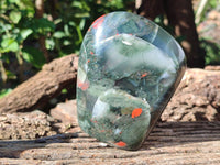 Polished Bloodstone Standing Free Forms x 2 From Swaziland - Toprock Gemstones and Minerals 