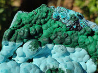 Natural Malachite Malacolla Botryoidal Chrysocolla Specimens x 2 From Kulukuluku, Congo