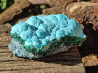 Natural Malachite Malacolla Botryoidal Chrysocolla Specimens x 2 From Kulukuluku, Congo