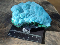 Natural Malachite Malacolla Botryoidal Chrysocolla Specimens x 2 From Kulukuluku, Congo