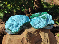 Natural Malachite Malacolla Botryoidal Chrysocolla Specimens x 2 From Kulukuluku, Congo