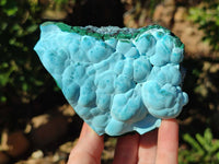 Natural Malachite Malacolla Botryoidal Chrysocolla Specimens x 2 From Kulukuluku, Congo
