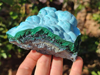Natural Malachite Malacolla Botryoidal Chrysocolla Specimens x 2 From Kulukuluku, Congo