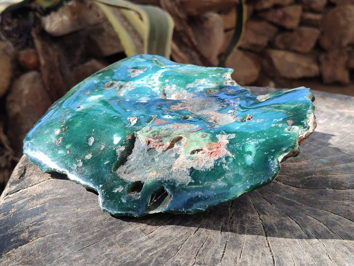 Polished On One Side Mtorolite Plate x 1 From Mutorashanga, Zimbabwe - Toprock Gemstones and Minerals 