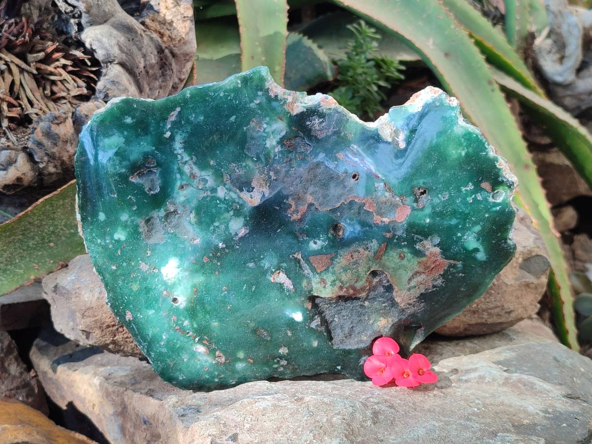 Polished On One Side Mtorolite Plate x 1 From Mutorashanga, Zimbabwe - Toprock Gemstones and Minerals 