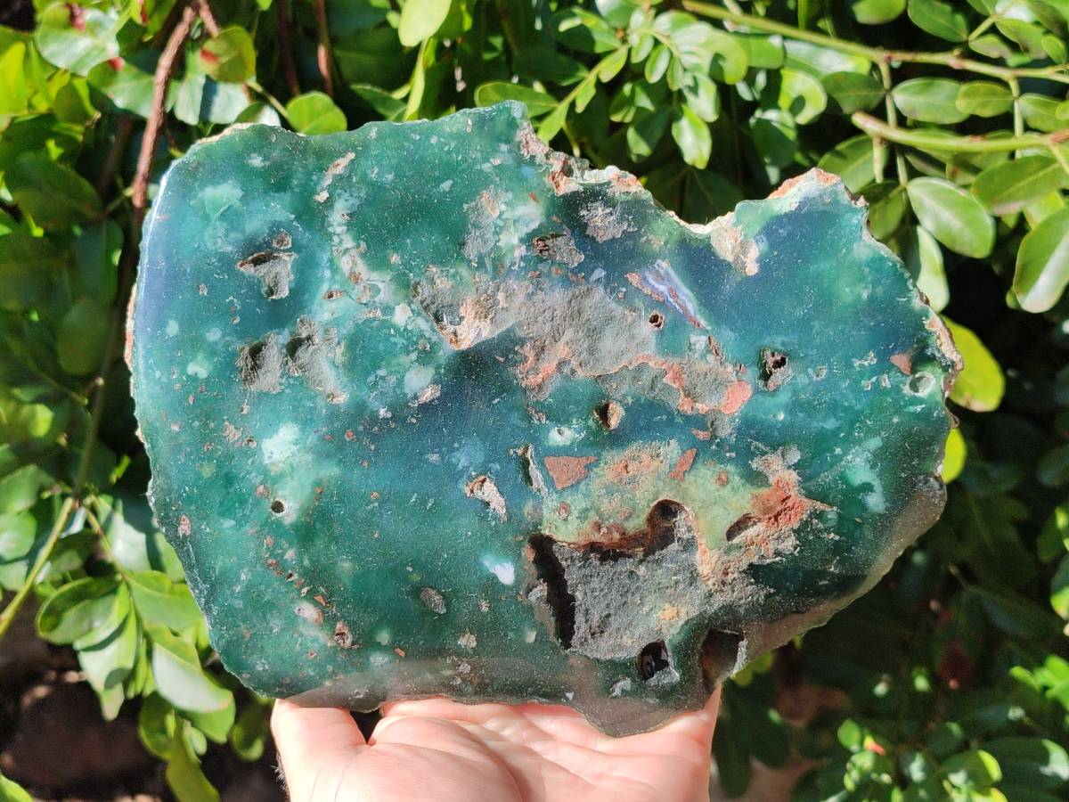 Polished On One Side Mtorolite Plate x 1 From Mutorashanga, Zimbabwe - Toprock Gemstones and Minerals 