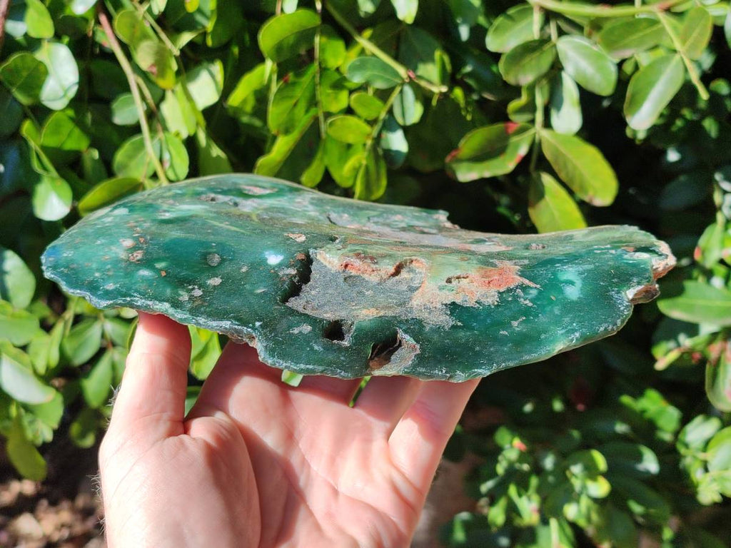 Polished On One Side Mtorolite Plate x 1 From Mutorashanga, Zimbabwe - Toprock Gemstones and Minerals 