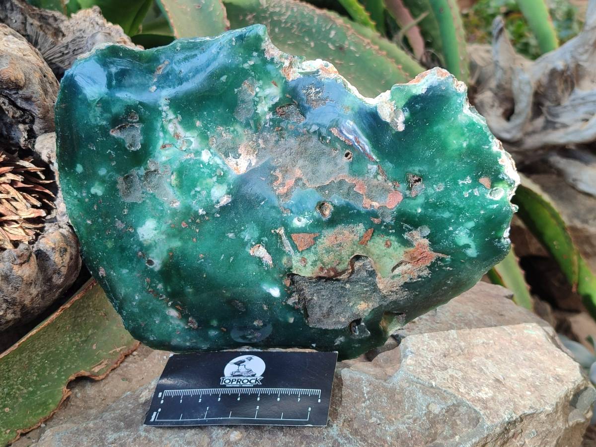 Polished On One Side Mtorolite Plate x 1 From Mutorashanga, Zimbabwe - Toprock Gemstones and Minerals 